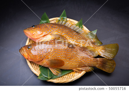 Aphid pheasant 50055716