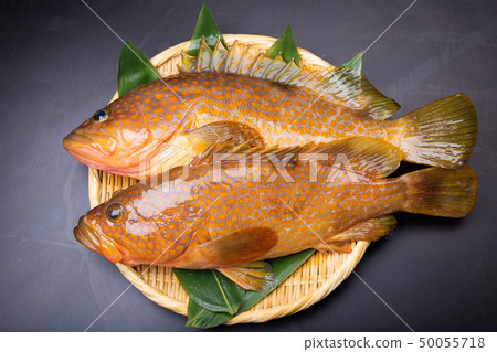 Aphid pheasant 50055718