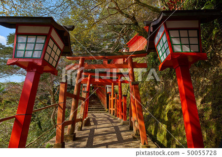 Tsuwano of Shimane (San-in's small Kyoto) Taikoku valley Inari Shinto shrine Senbon Torii approach Tsuwano of Shimane (San-in's small Kyoto) Taikoku valley Inari Shinto shrine Senbon Torii approach 50055728