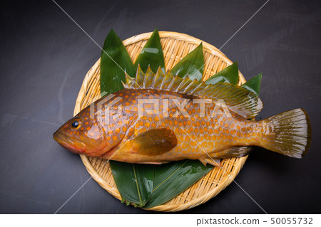 Aphid pheasant 50055732