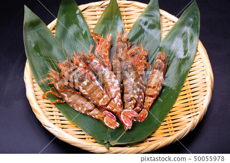 Mosa shrimp Shrimp Mosa shrimp Shrimp 50055978