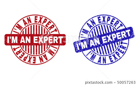 Grunge I M AN EXPERT Textured Round Stamps 50057263