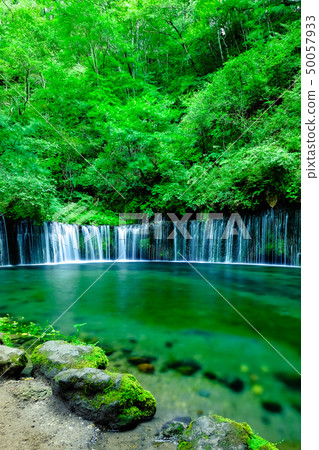Shiraito Falls(輕井澤) Shiraito Falls(輕井澤) 50057933