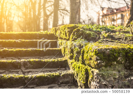 old stone staircase outside moss-covered among old stone staircase outside moss-covered among 50058139