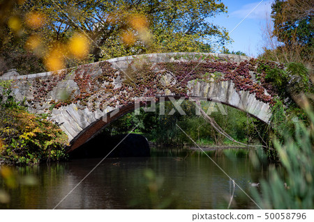 A stone bridge, Gapstow Bridge, in Central Park, NY. 50058796