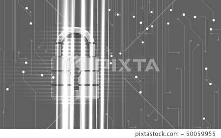 Cybersecurity and information or network Cybersecurity and information or network 50059955