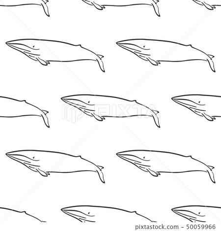 Whale character abstract hand drawn vector seamless pattern. Retro illustration. Marine wild mammal 50059966