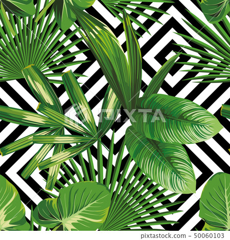 exotic jungle plant tropical palm leaves 50060103