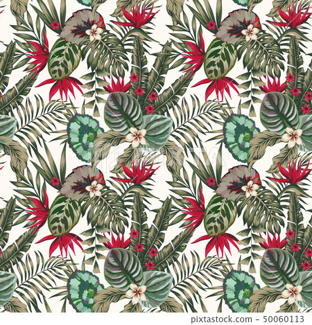 Exotic plants leaves flowers abstract color 50060113