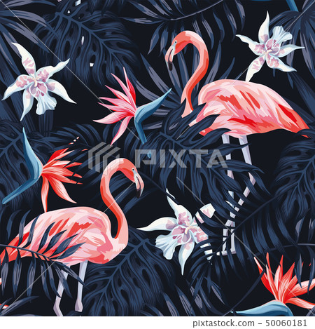 flamingo strelitzia palm leaves dark background 50060181