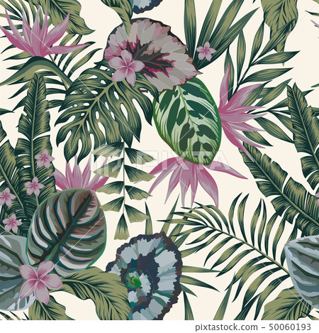 Tropical plants leaves flowers abstract color Tropical plants leaves flowers abstract color 50060193