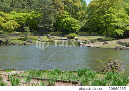A gentle breeze blows over a pond surrounded by fresh greenery 50060365