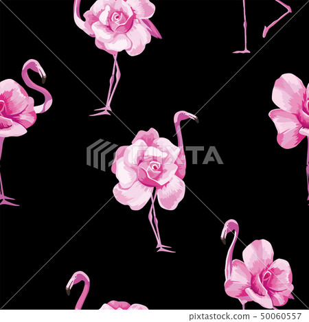 flamingo rose black background flamingo rose black background 50060557