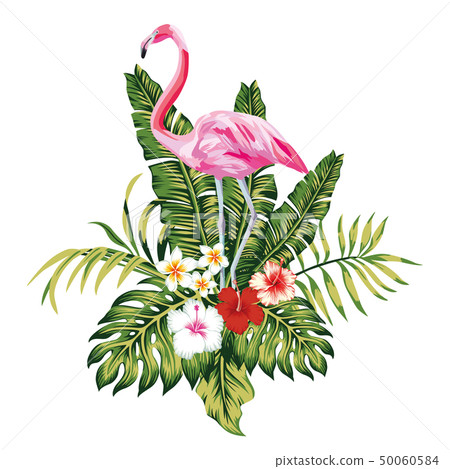 Composition of pink flamingo tropical leaves and Composition of pink flamingo tropical leaves and 50060584