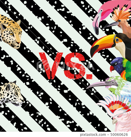 Print pattern panther vs tropical birds wallpaper 50060626
