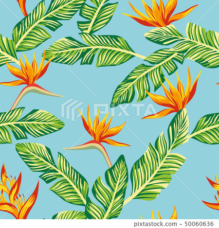 Seamless composition from green tropical banana 50060636