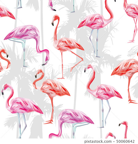 Pink flamingo seamless pattern white background 50060642