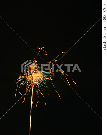 Skyrocket art 50060769