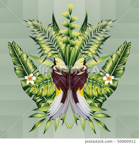 tropical birds and leaves 50060912