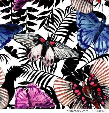 watercolor butterflies pattern, parrots and watercolor butterflies pattern, parrots and 50060925