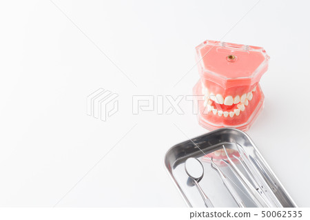 Dental image Dental image 50062535