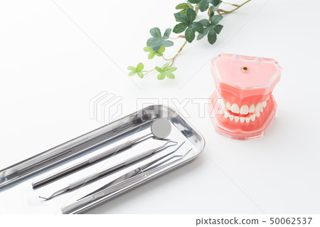 牙科圖像 牙科圖像 50062537