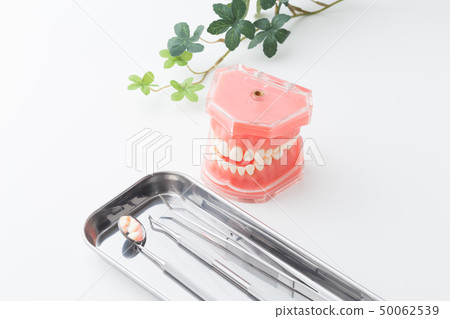 Dentist image Dentist image 50062539