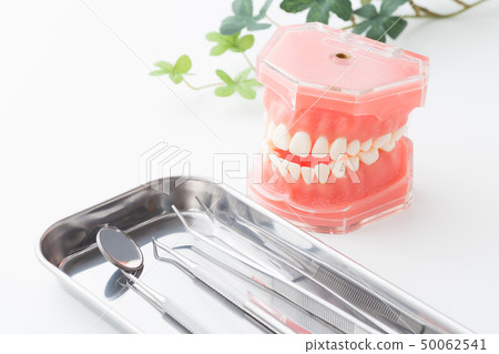 Dental image 50062541