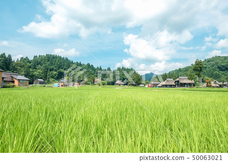 Rural landscape in summer (Ashinoshima ring village) 50063021