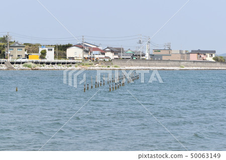 春天湖Hamana 50063149