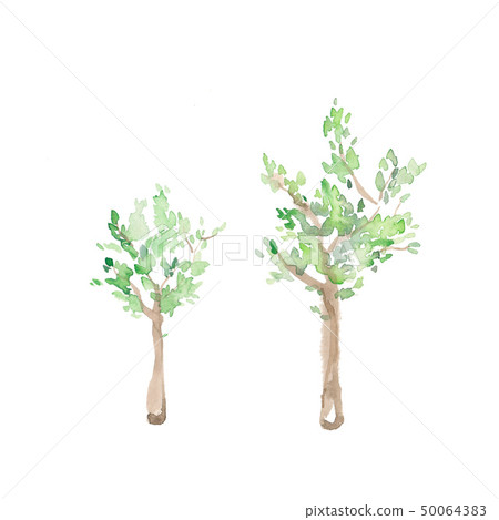 樹，材料 50064383