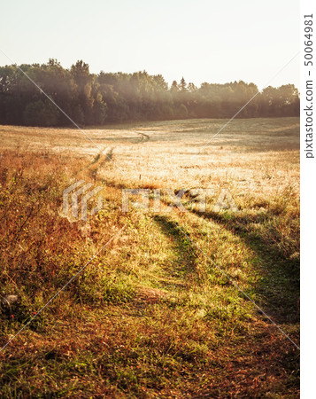 Picturesque fairy sunrise over a misty meadow in summer morning. Road to field 50064981