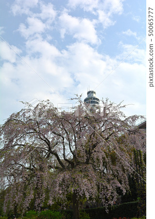Yokohama · Yamashita Park Yokohama · Yamashita Park 50065777
