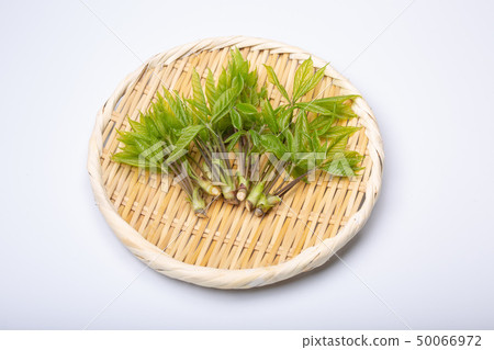 Kosia胸罩 50066972