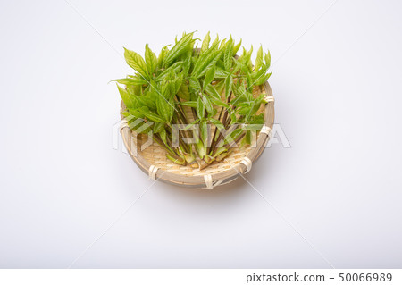 Kosia胸罩 50066989