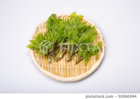 Kosia胸罩 50066994