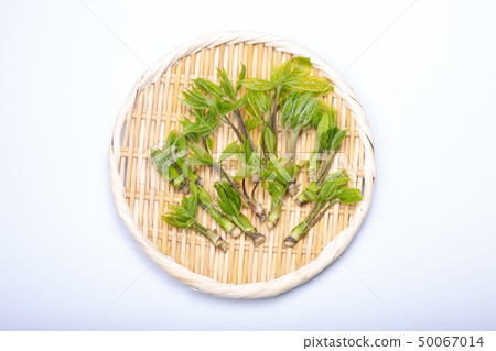 Kosia胸罩 50067014