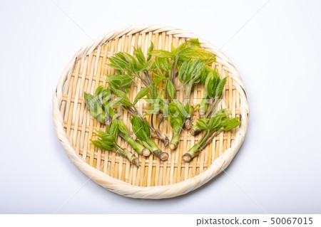 Kosia胸罩 50067015