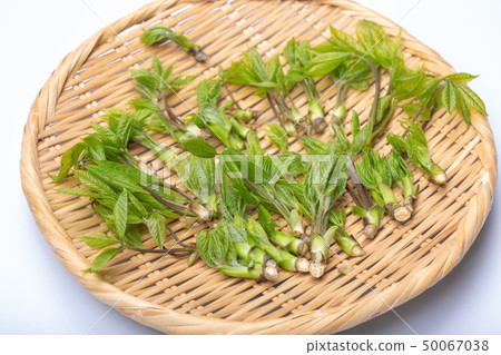 Kosia胸罩 50067038