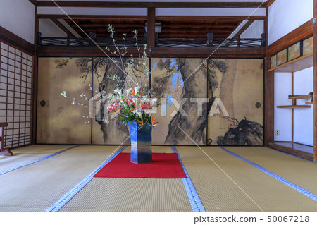 Ninna-ji Temple Oimuro cherry 50067218