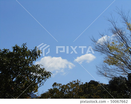 高濱北公園白雲和藍天 50067662