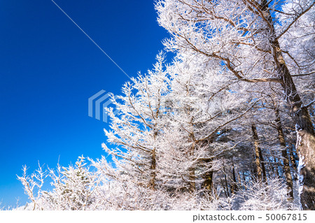 有霧的冰/銀色森林 有霧的冰/銀色森林 50067815