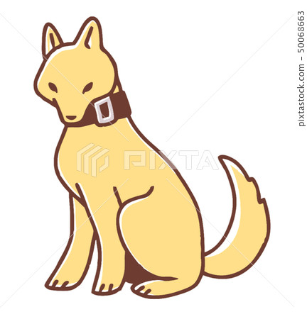 Kishu dog illustration 50068663