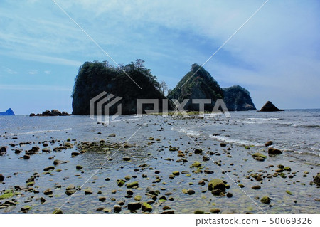 Nishi Izu Sehama's Tonboro 50069326