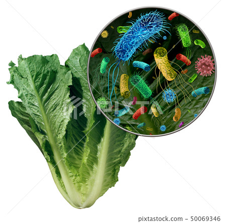 Bacteria On Vegetable Danger 50069346