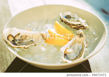 Opened fresh oysters being served in plate full of ice 50071471