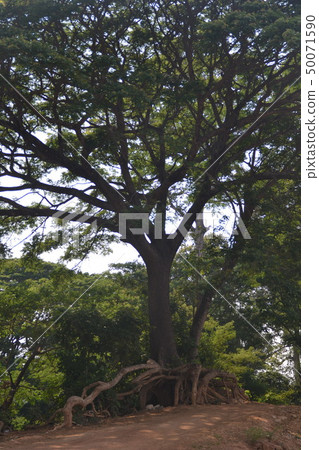 Unseen giant Myraif of Salueng beach port.   50071590
