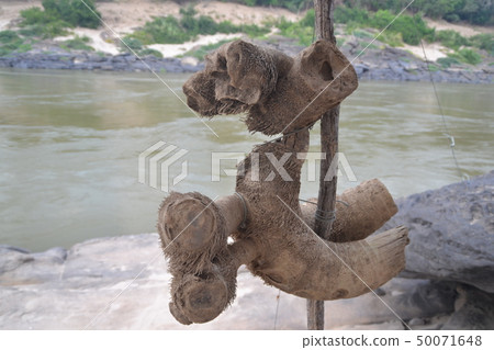 Dog maded from coconut peels show at grocery Dog maded from coconut peels show at grocery 50071648