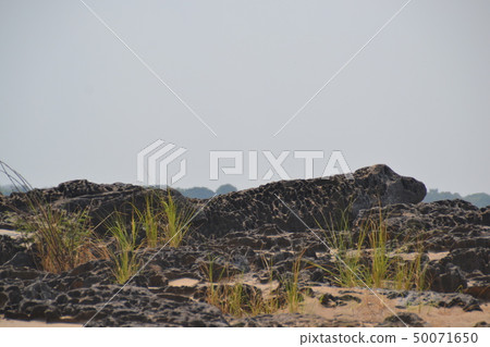 wow crocodile rocks ,sampanbok landmark,Thailand. wow crocodile rocks ,sampanbok landmark,Thailand. 50071650