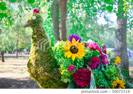 Peacock made from flowers 50072519